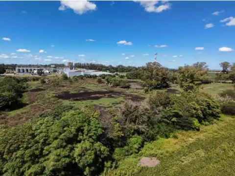 Lote de 1,75 ha a metros de RNN°8 (curva Syngenta)