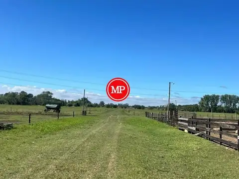 Campo en Venta de 34  ha