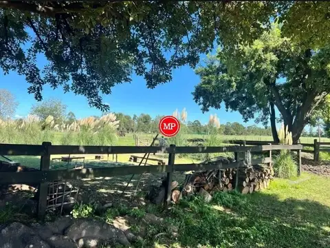 34 Hectáreas En Pilar M146v