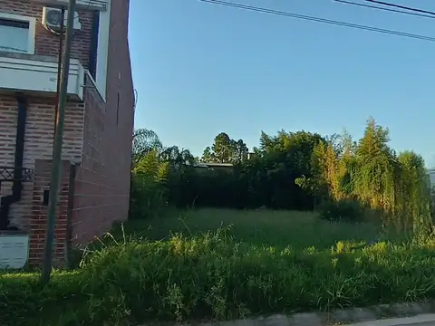 Lote de  516 m². Todos los servicios.