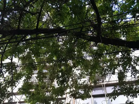 Venta en Balvanera. Oficina