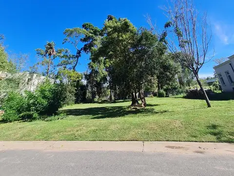 Lote con increible arboleda en San Matias Escobar