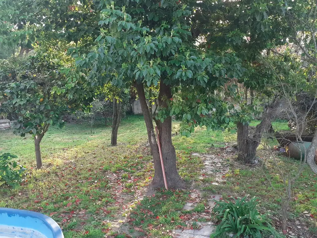 50/16 Y 17