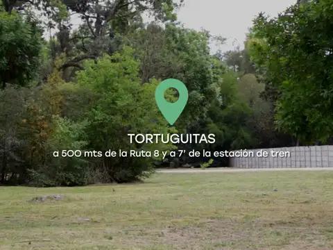 Lisandro De La Torre Y Juan Pablo 100