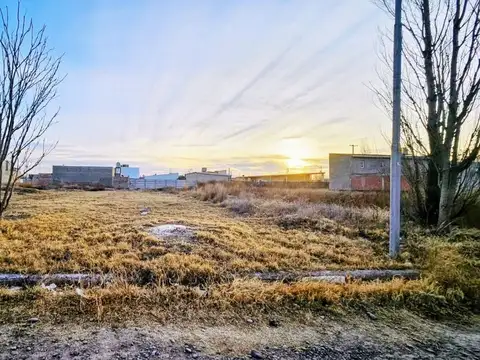 Enrique Garcia Gonzalez 1100