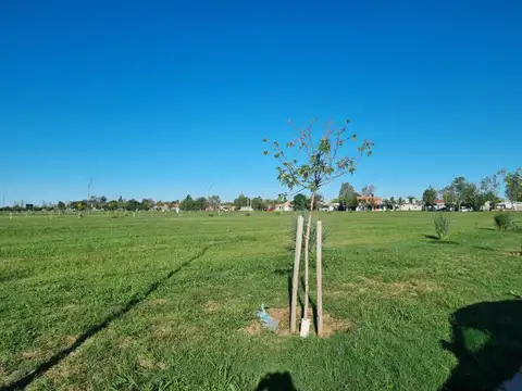 Terreno en Venta 30  mts Frente