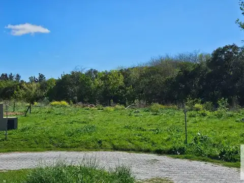 Terreno en Venta de 444,0 m2
