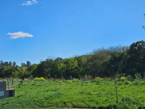 Terreno en Venta en Exaltación de la Cruz, USD 37.000