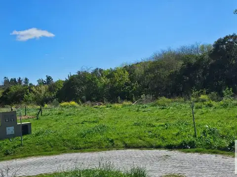Terreno en Venta 30  mts Fondo