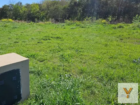 Terreno en Venta 12  mts Frente
