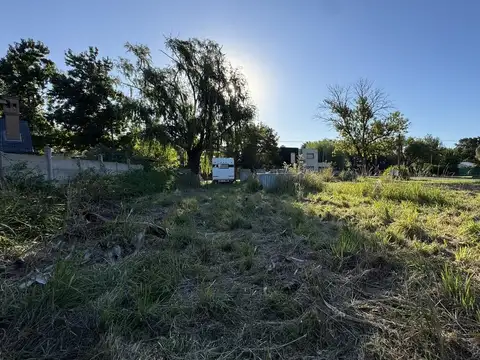 Ernesto Quesada  al 1200