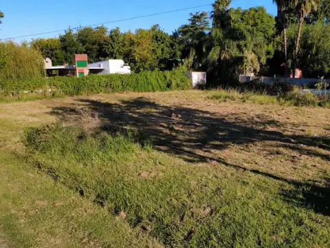 Ernesto Quesada  al 1200