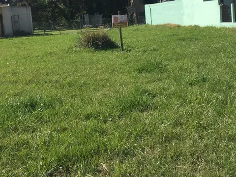 LOTE EN RESERVA FORESTAL ATLANTIDA