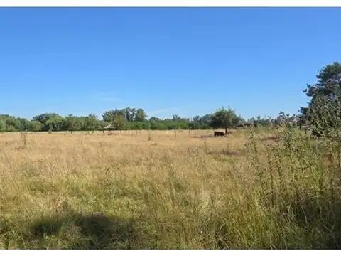 CAMPO EN VENTA EN CAÑUELAS
