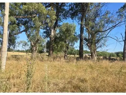 Campo en Venta Ganadero
