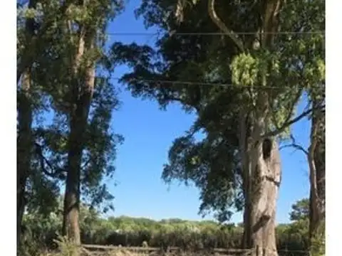 Campo - Uribelarrea