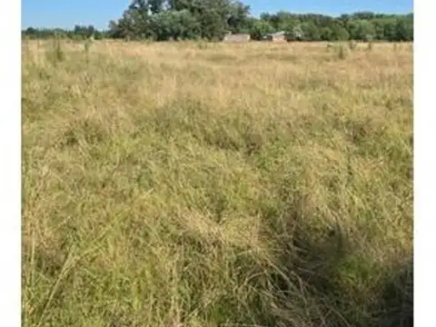 Campo en Venta Ganadero