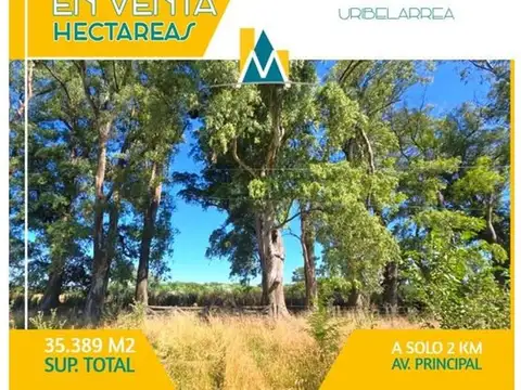 CAMPO EN VENTA EN CAÑUELAS