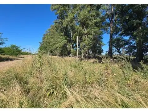 Campo - Uribelarrea