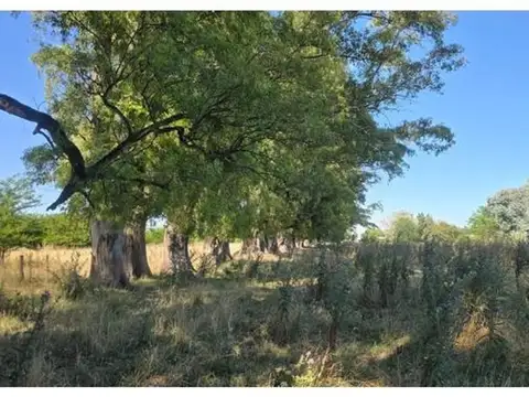 CAMPO EN VENTA EN CAÑUELAS