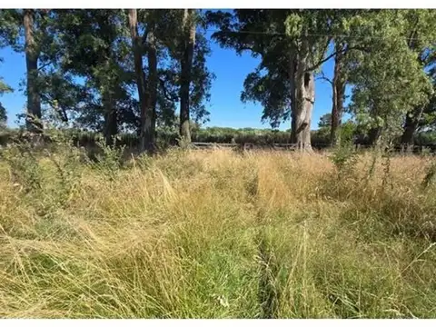 CAMPO EN VENTA EN CAÑUELAS