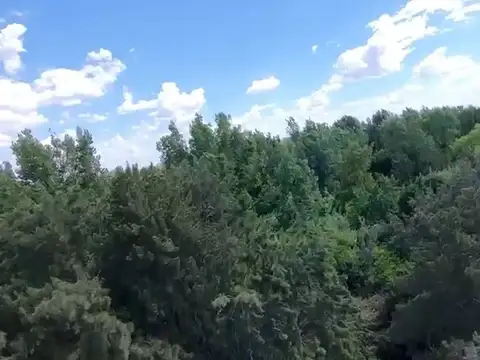 VENTA 26,9 ha en 1ra. Secc. Delta. Apto inversores