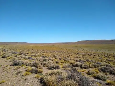 RUTA N° 3 100