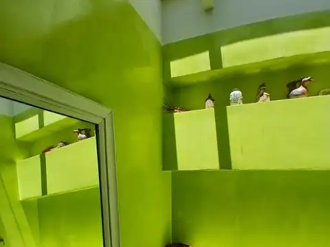 Casa 2 ambientes con 1 baño