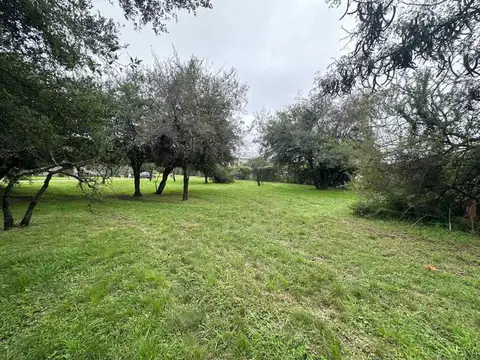 Terreno en Venta en Río Ceballos, USD 45.999