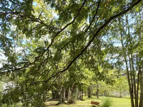 Venta importante lote 1200 m las acacias  brandsen