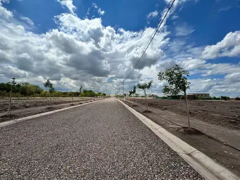 Lote en Venta Abedul Barrio Privado