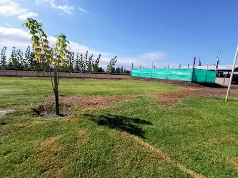 Terreno en Venta en Rodeo del Medio, USD 55.000
