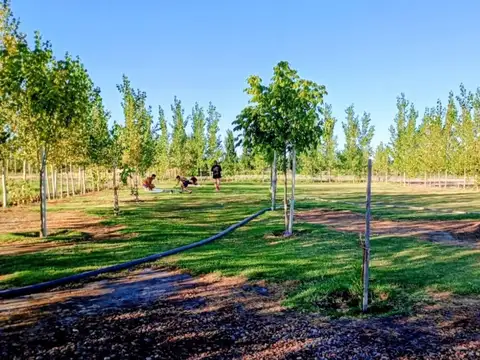 Terreno en Venta en Rodeo del Medio, USD 55.000