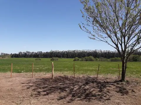 Terreno en Venta en Baradero, USD 65.000