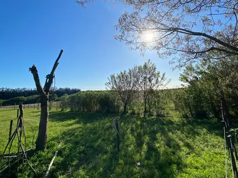 TERRENO EN VENTA  EN BARADERO COLONIA SUIZA