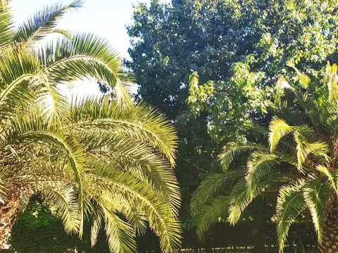 Carlos María de Alvear 1200