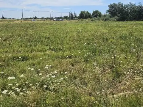 Santa Ana