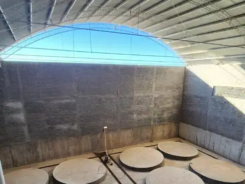 Rivarola