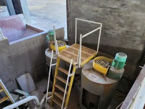 Rivarola