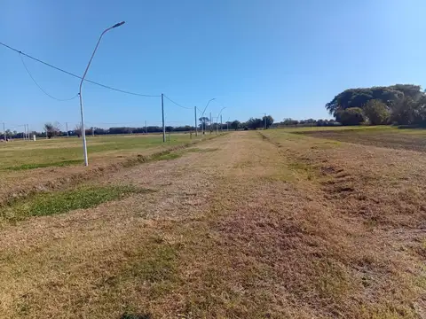 Terreno en Venta 31  mts Fondo