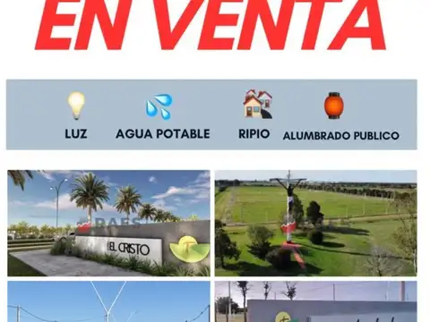 Los Palos Borrachos al 2700