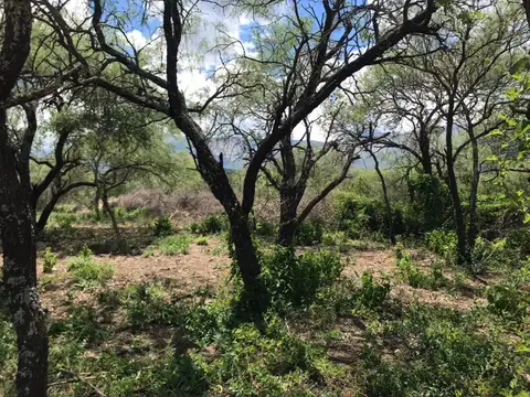 Terreno en Venta en La Paz, USD 7.500