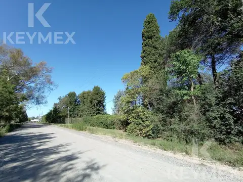 Terreno en Venta 79  mts Fondo