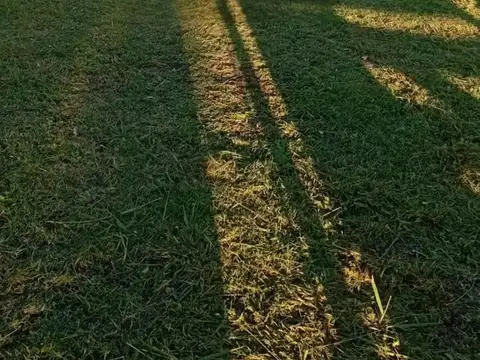 Terreno en Venta 30  mts Fondo