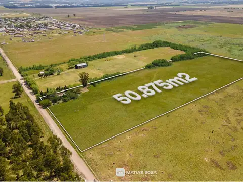 Venta - Campo - 5 hectáreas - Frutales