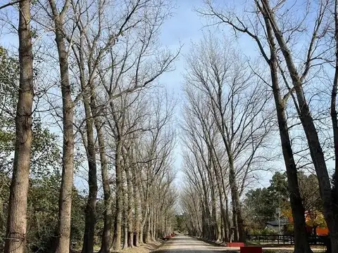 Terreno Lote  en Venta ubicado en Haras el Malacate, Exaltación de la Cruz, G.B.A. Zona Norte