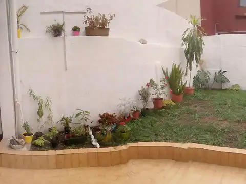 Diego Palma 940