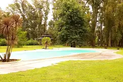 Haras San Pablo - Foto 7