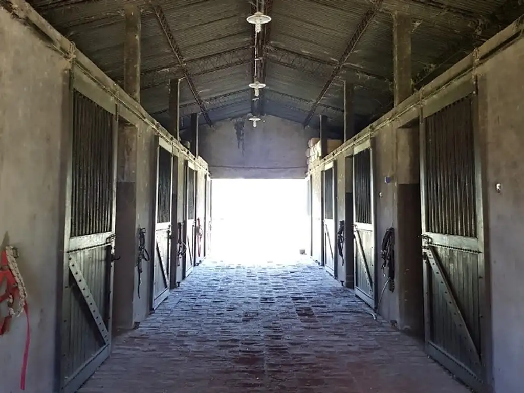 Actividades deportivas futbol, tenis, equitacion en Haras San Pablo