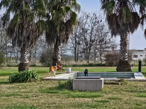 PARCELA NUEVE de la CHACRA SESENTA Y NUEVE 9 Cañuelas